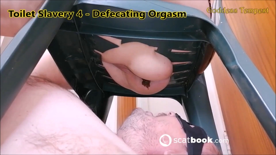 Broken Toilet 26 - Diarrhea Explosion - GODDESS TEMPEST - FullHD  [331 MB] (2025)