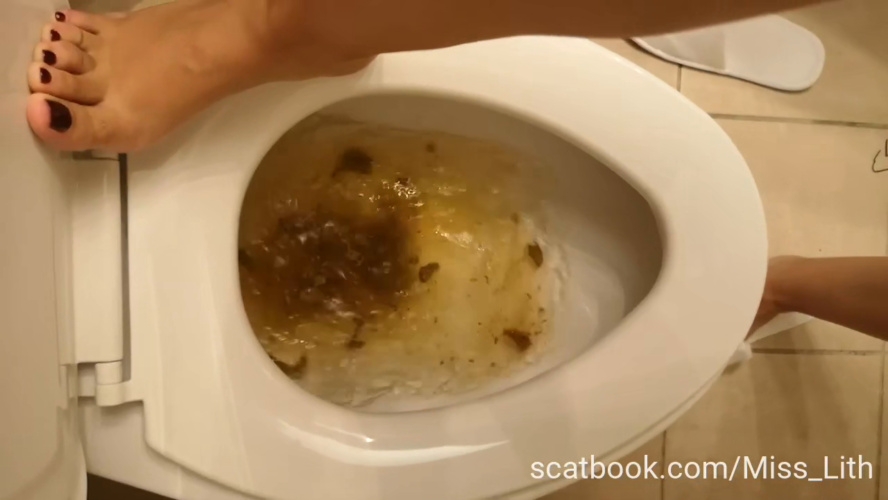 Scat Verbal Humiliation The Toilet is Сlogged P1 - HD  [23.9 MB] (2025)