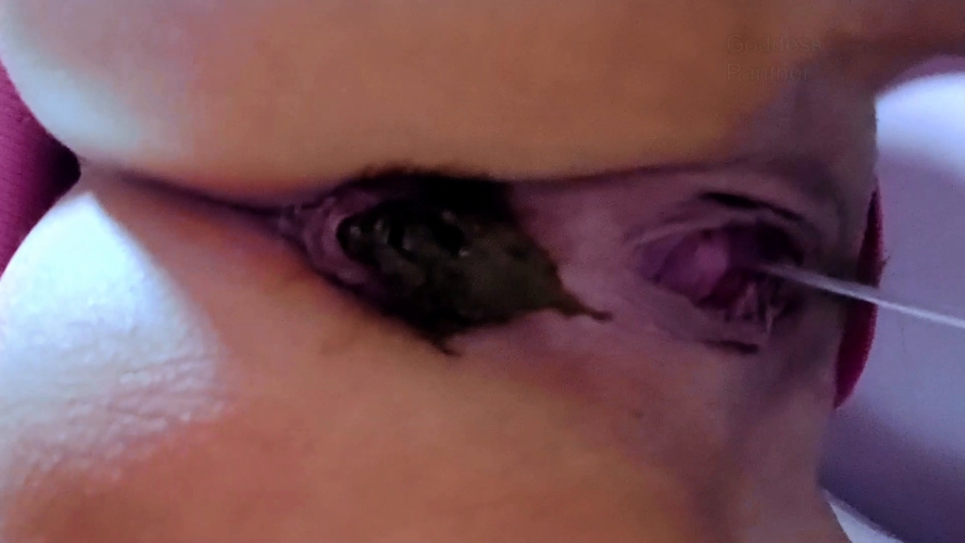 Obsessed With Huge Shit - FullHD  - With Actress: thefartbabes [783 MB] (2025)