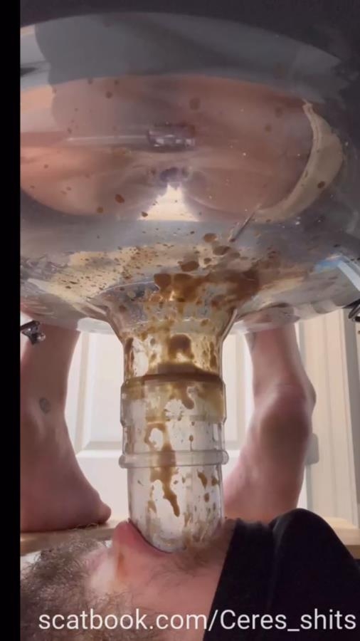 A Day of Shitting Down My Toilet's Throat P1 - SD  [44.5 MB] (2025)