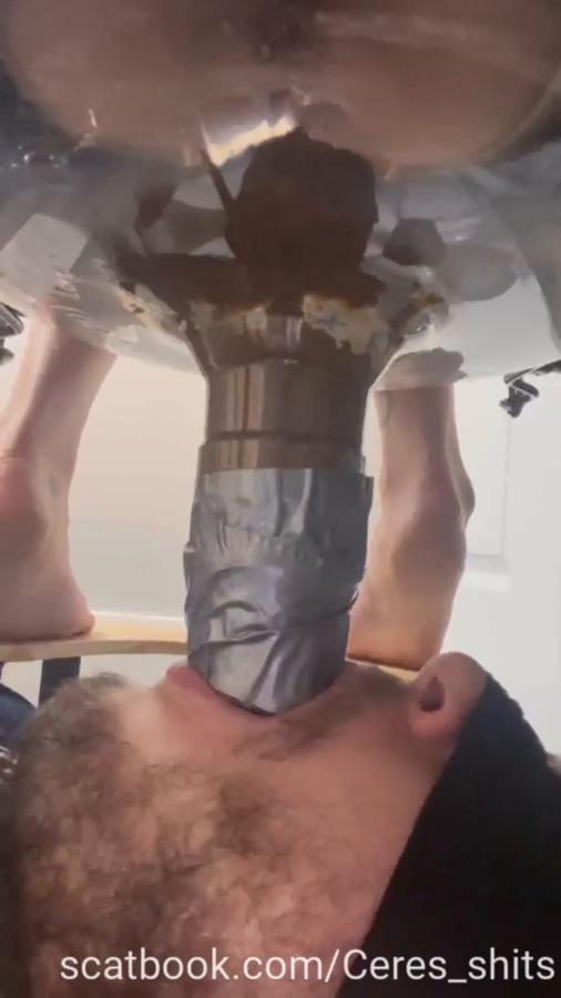 Toilet Annihilation with Goddess Ceres P1 - SD  [21.0 MB] (2025)