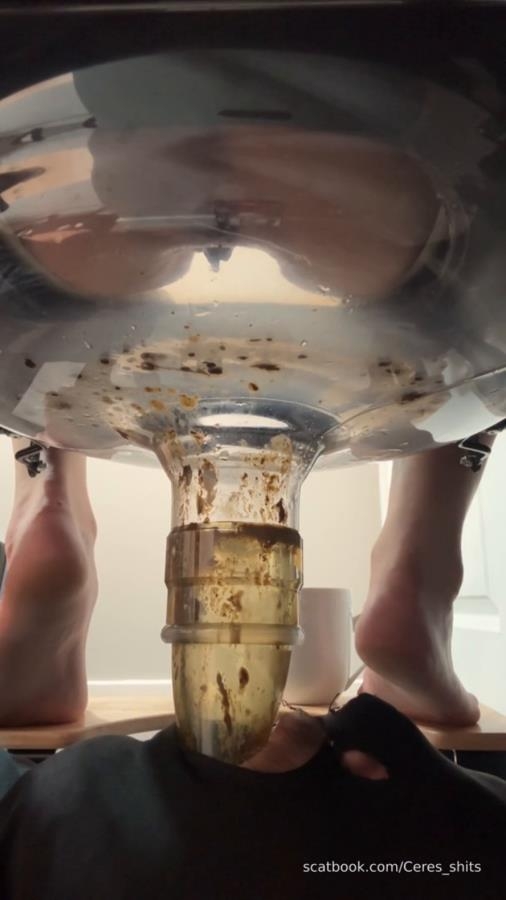 2025-11-03 - My Diarrhea Recepticle - SD  - With Actress: Goddess Ceres [74.1 MB] (2025)