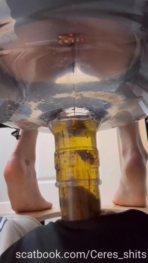 2025-10-05 - Only Waste For A Week Full Time Septic Ta - SD  - With Actress: Goddess Ceres [27.8 MB] (2025)