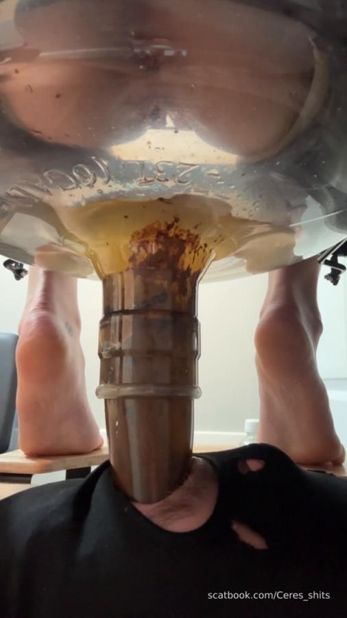 2025-12-05 - Haha Suffer Loser Swallow My Load - SD  - With Actress: Goddess Ceres [71.9 MB] (2025)