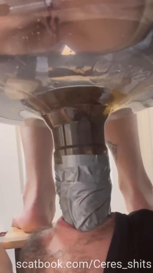 A Full Day Of Humiliation Hiking With A Toilet - SD  - With Actress: Goddess Ceres [75.5 MB] (2025)