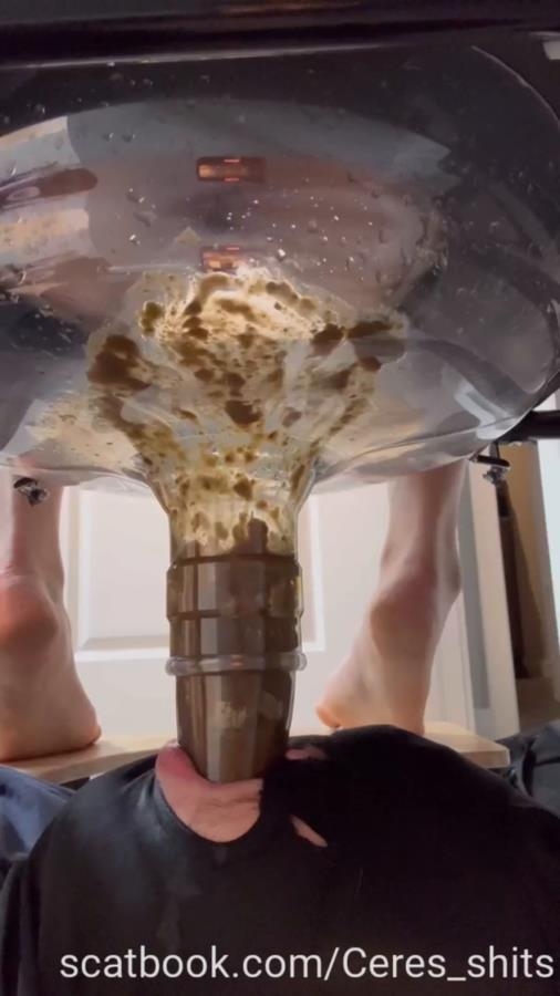 2025-10-06 - Only Waste For A Week Full Time Septic Ta - SD  - With Actress: Goddess Ceres [28.4 MB] (2025)