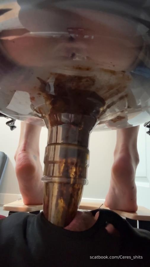 Daily Toilet Torture » Mixfemdomcc - Latest Femdom Porn for Online Streaming - SD  - With Actress: Goddess Ceres [121 MB] (2025)