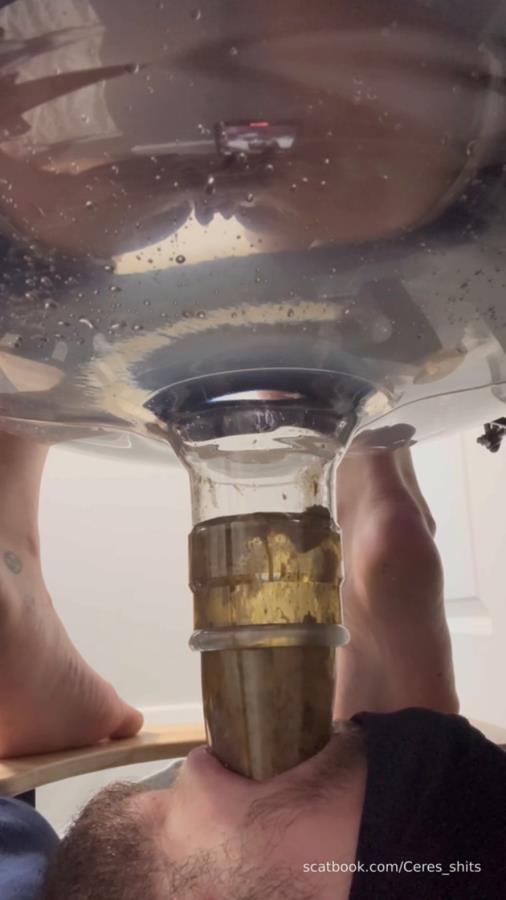 Human Toilet's First Malfunction Infinite Shit Down Your Throat » Mixfemdomcc - Latest Femdom Porn for Online Streaming - SD  - With Actress: Goddess Ceres [120 MB] (2025)