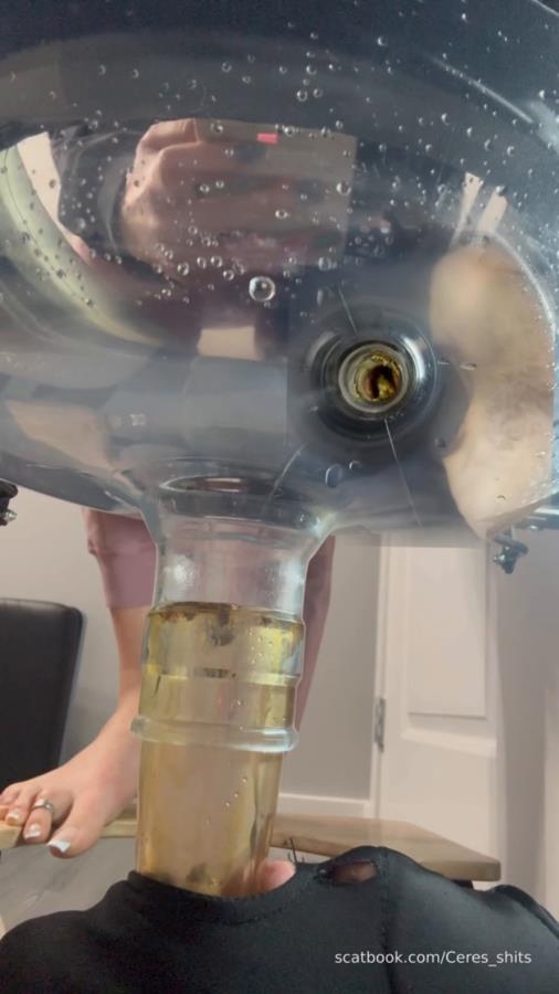 Septic Tank Almost Fails » Mixfemdomcc - Latest Femdom Porn for Online Streaming - SD  - With Actress: Goddess Ceres [68.9 MB] (2025)