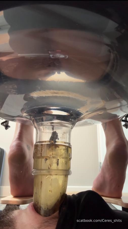 Five Levels of Shit » Mixfemdomcc - Latest Femdom Porn for Online Streaming - SD  - With Actress: Goddess Ceres [123 MB] (2025)