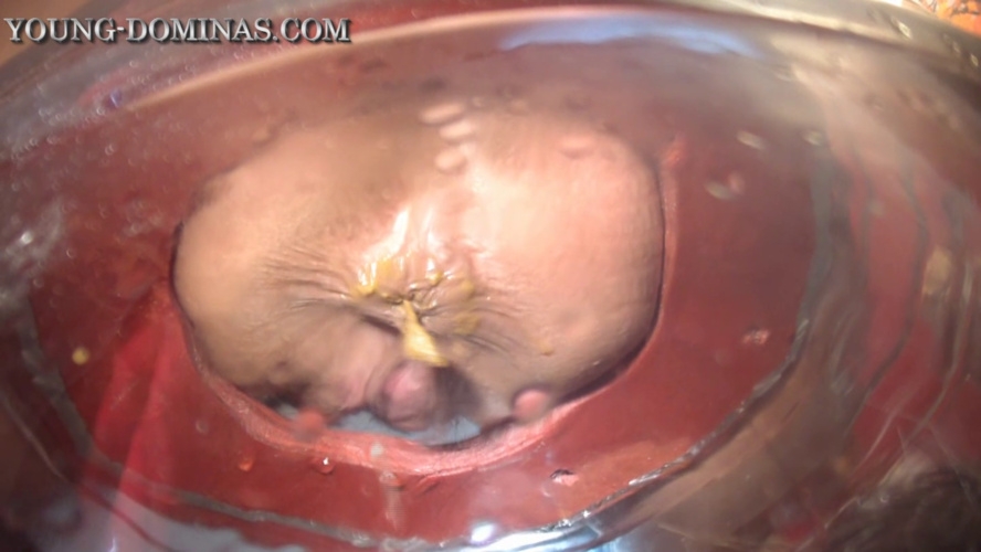 The Poop Barril Part 3 HD. P1 - HD  [290 MB] (2026)