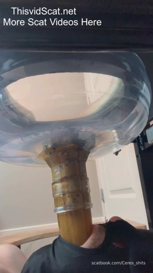 Toilet Slave Orgasm Control Single Angle P1 - SD  - With Actress: Goddess Ceres [136 MB] (2026)