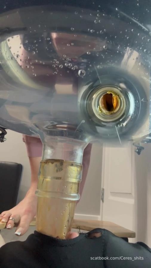 Septic Tank Almost Fails P1 - SD  [67.6 MB] (2026)