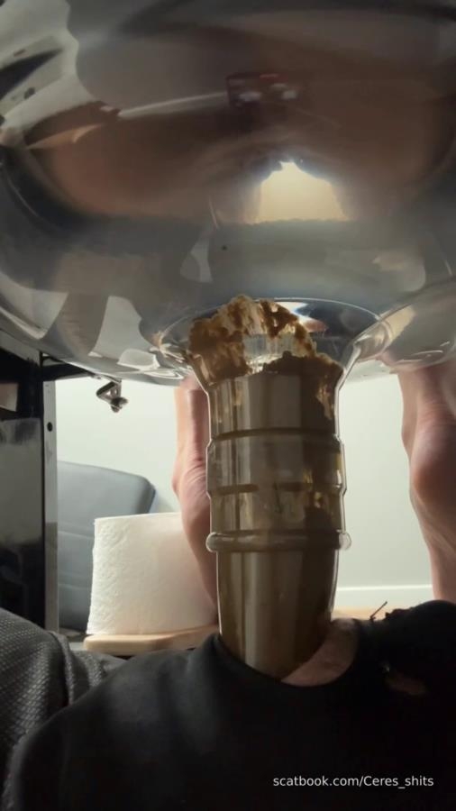 Daily Toilet Torture P1 - SD  [119 MB] (2026)