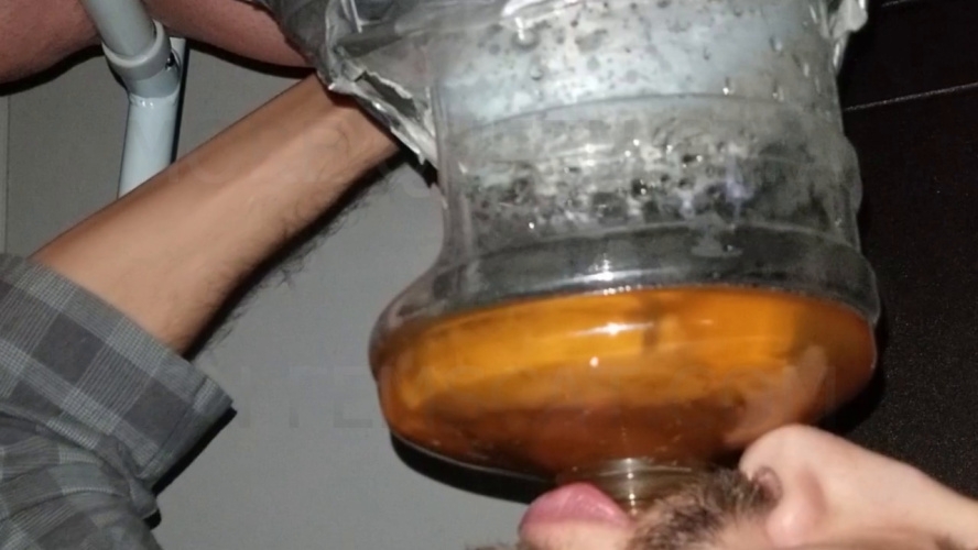 SSBBW Queen Siya - 2 Scenes - Gassy Pee and Constipated Logs - HD  [1.21 GB] (2026)