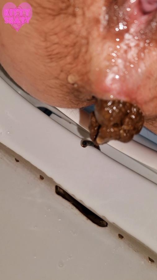 Four unflushable logs - SD  [629 MB] (2026)