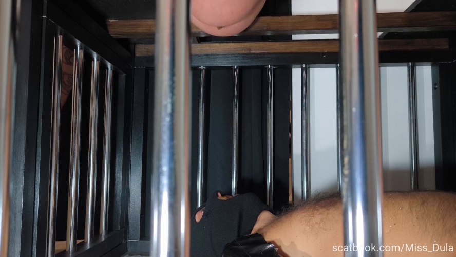 My Poop In His Mouth » Mixfemdomcc - Latest Femdom Porn for Online Streaming - FullHD  - With Actress: MISS DULA [134 MB] (2026)