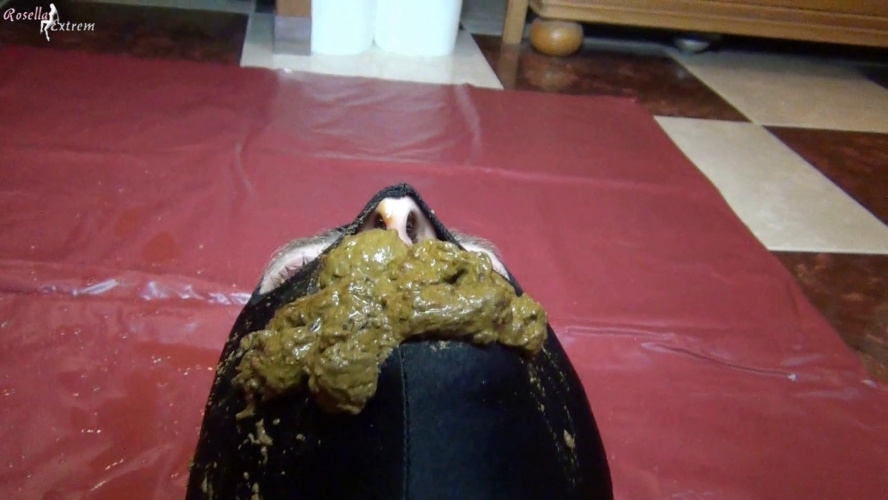 Slave in doggystyle, pooping, in his mouth - FullHD  - With Actress: RosellaExtrem [815 MB] (2026)
