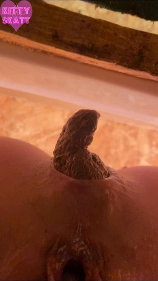 POV hookup in festival toilet - SD  - With Actress: Kitty Skatt [982 MB] (2026)