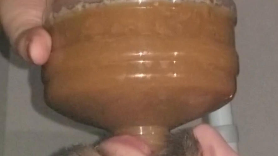 Chugging LITERS of my poop-flavored pee - HD  - With Actress: SSBBW Queen Siya [403 MB] (2026)