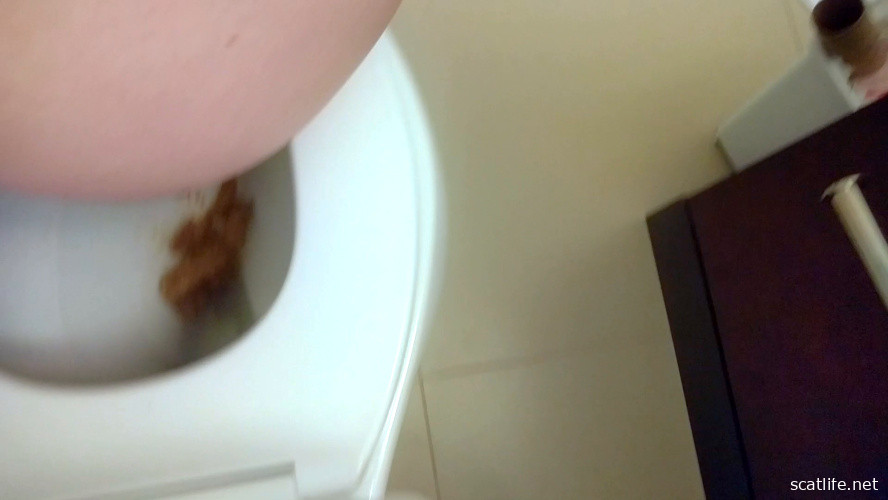 Cute, Casual Toilet Poo (+ wiping and flushing!) - FullHD  - With Actress: CassieScat [421 MB] (2026)